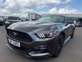 Ford Mustang 2.3 Aut.Convertible/TopZustand/Scheckheft Black - thumbnail 5