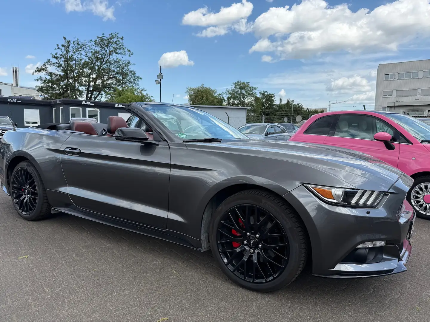Ford Mustang 2.3 Aut.Convertible/TopZustand/Scheckheft Black - 2
