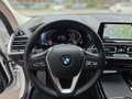 BMW X4 xDrive20d 20"*Hifi*Active Protection*Mineral weiss Weiß - thumbnail 8