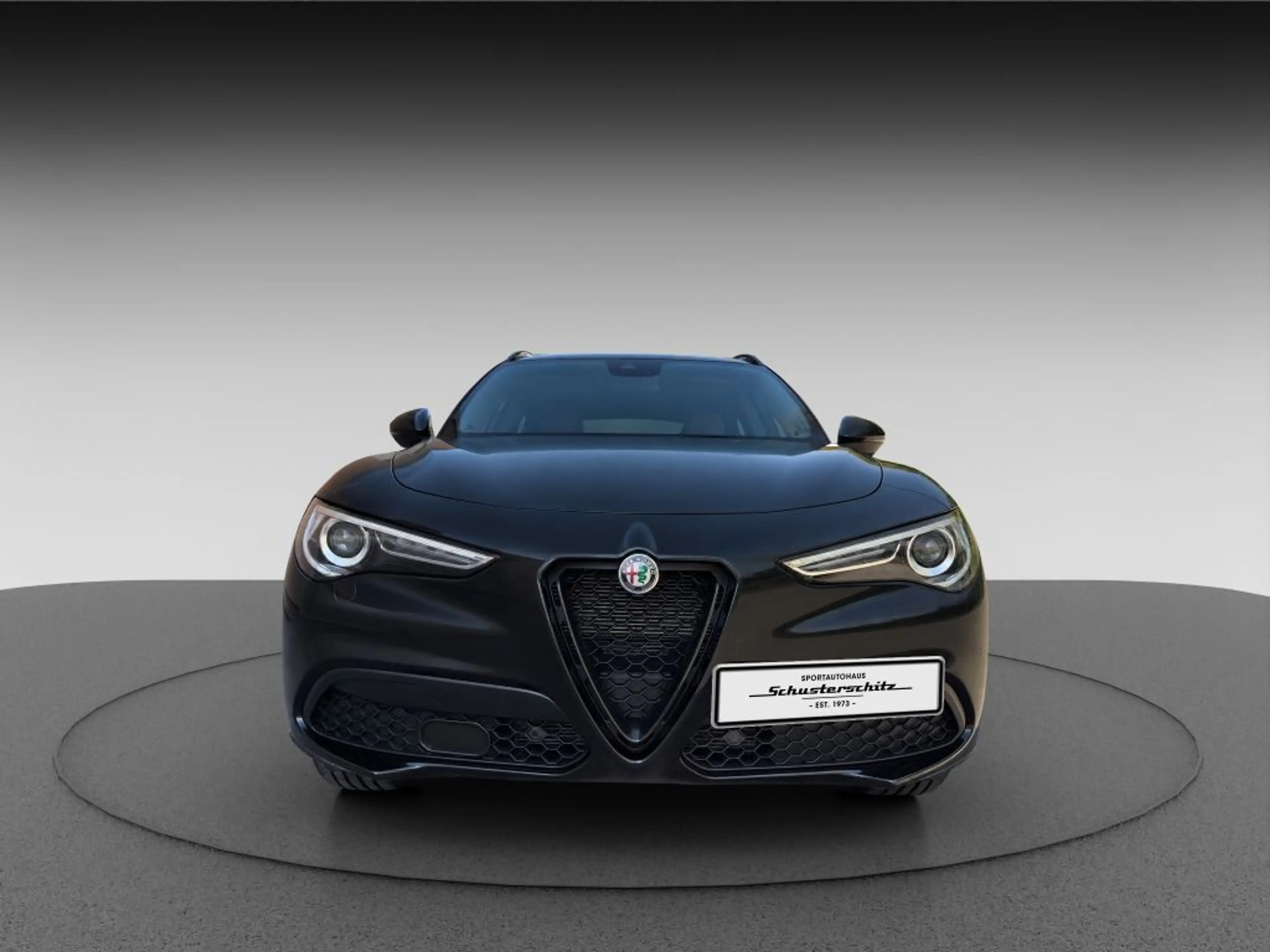 Alfa Romeo Stelvio STELVIO Q4 VELOCE ASSISTENZP. NAVI SCHECKHEFT — photo 3