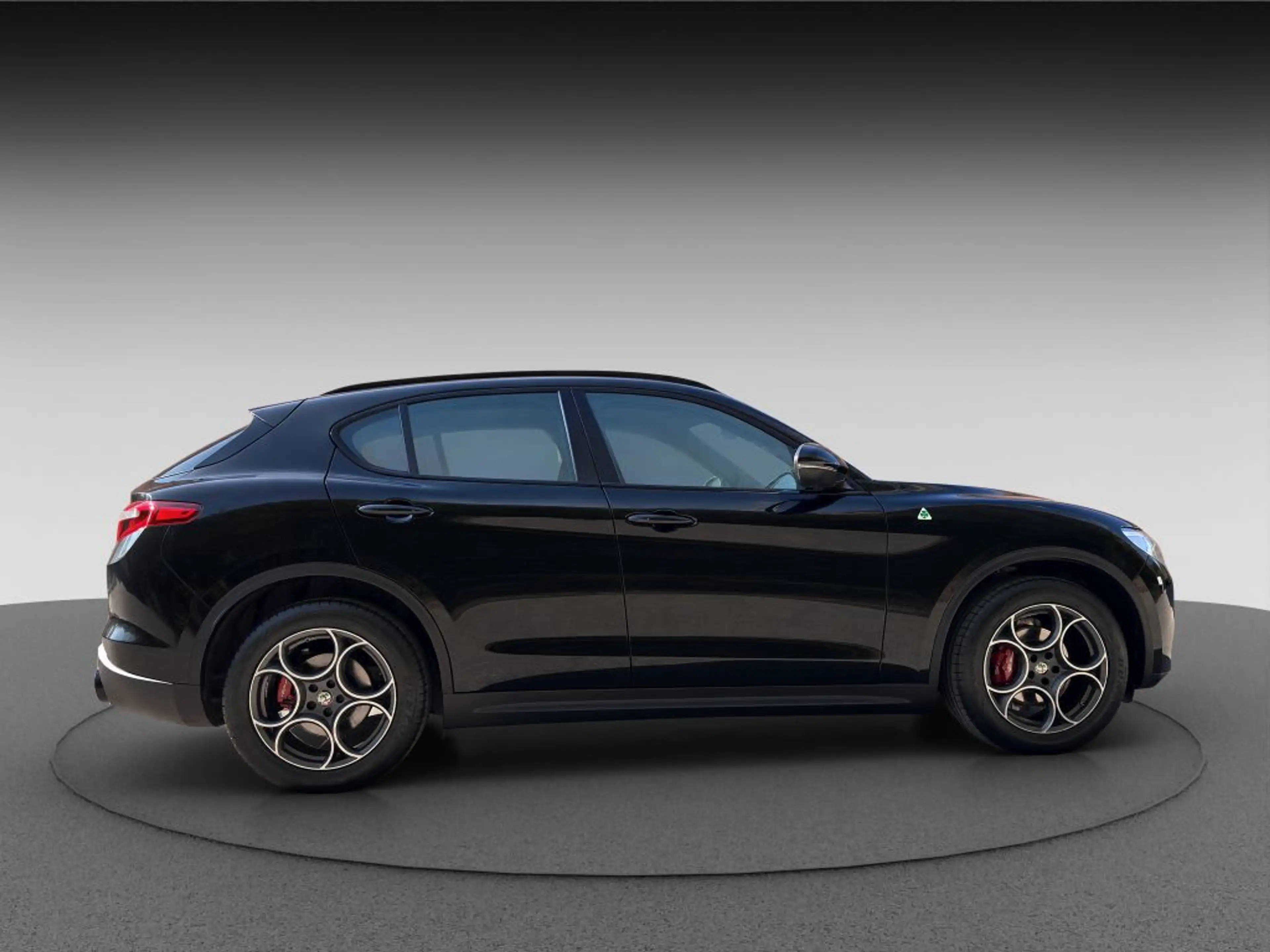 Alfa Romeo Stelvio STELVIO Q4 VELOCE ASSISTENZP. NAVI SCHECKHEFT — photo 8