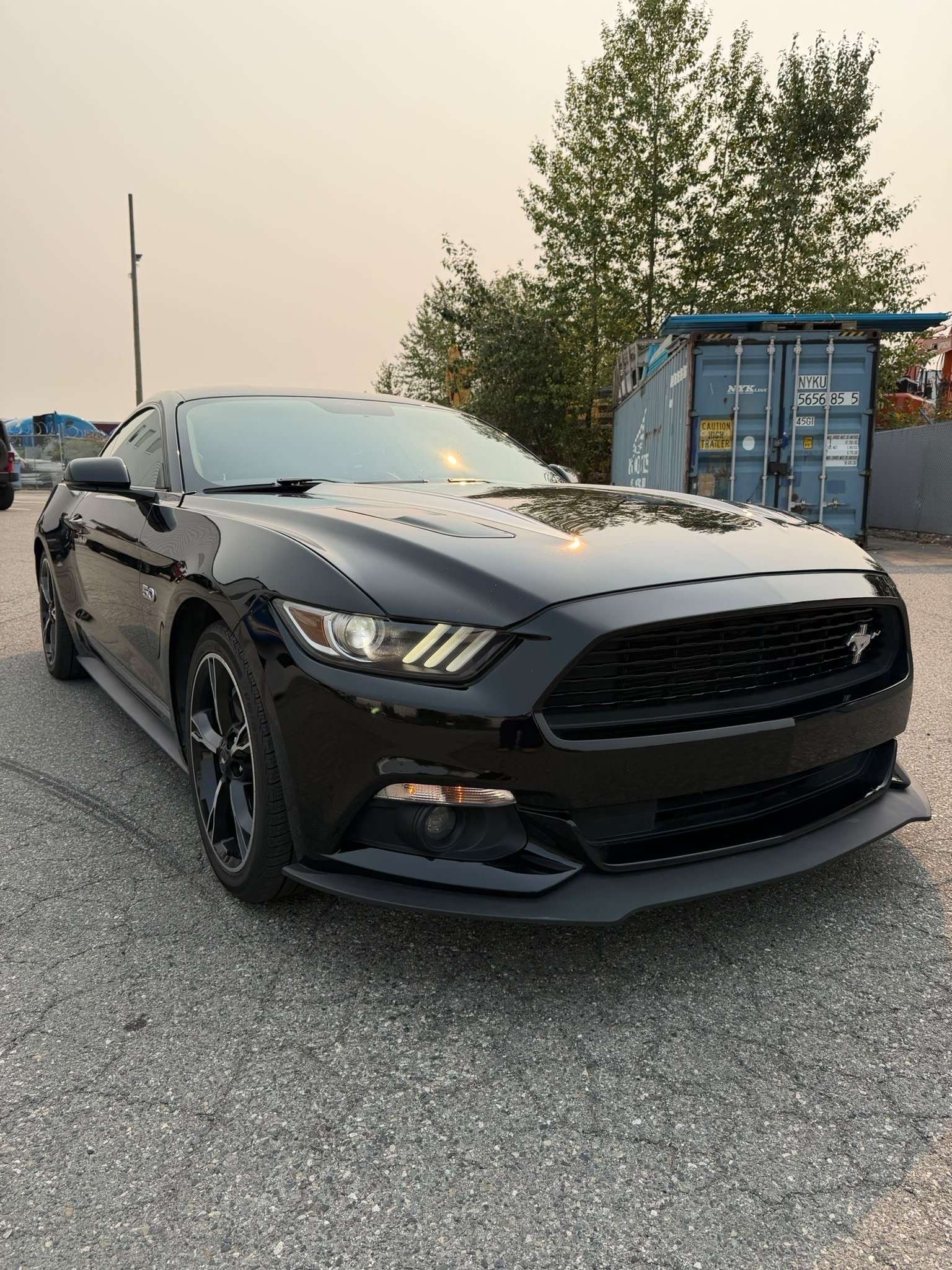 2017 Ford Mustang 2dr Fastback GT — снимка 1
