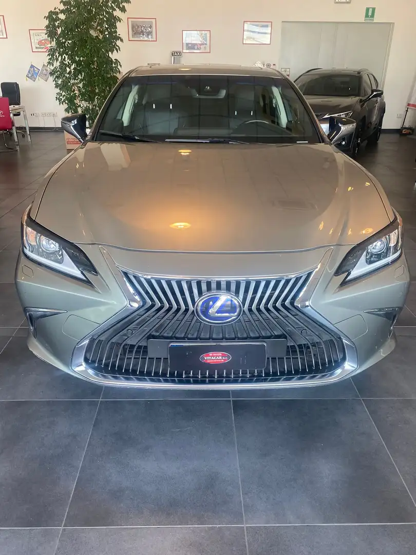 Lexus ES 300 hibrid executive Argent - 1