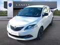 Lancia Ypsilon 1.0 FireFly 70cv Hybrid Gold Bianco - thumbnail 1