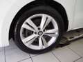 SEAT Alhambra Xcellence TDI DSG 4Drive Weiß - thumbnail 4