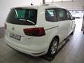 SEAT Alhambra Xcellence TDI DSG 4Drive Weiß - thumbnail 6