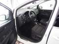 SEAT Alhambra Xcellence TDI DSG 4Drive Weiß - thumbnail 7