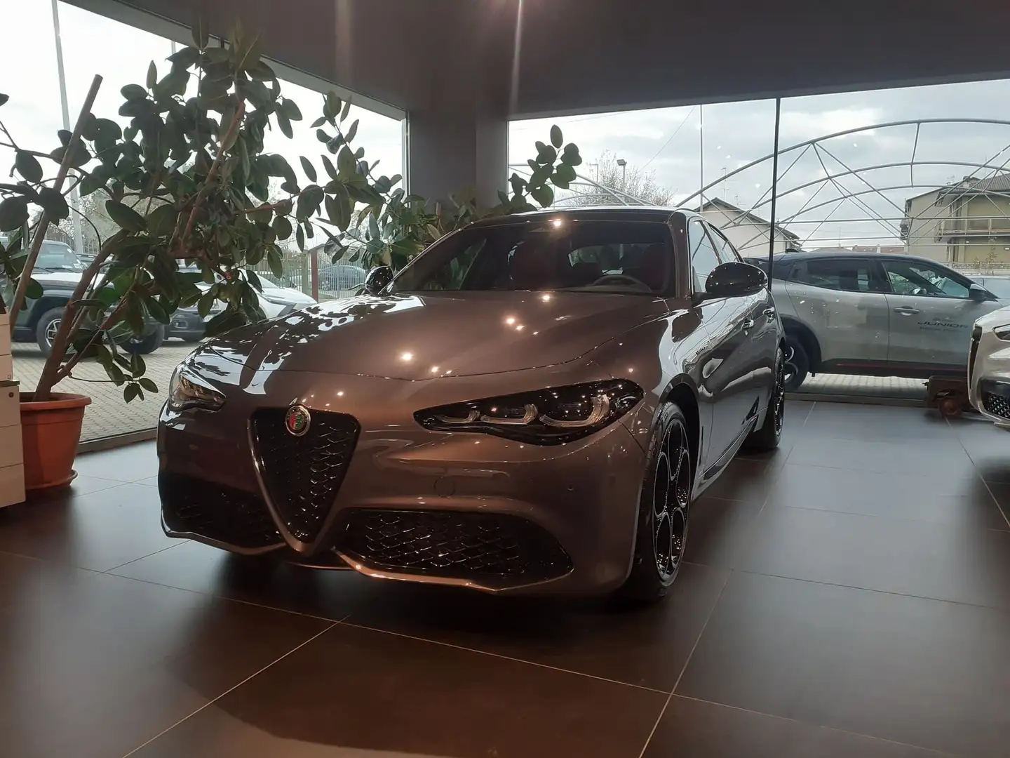 Alfa Romeo Giulia Giulia 2.2 T160 CV Veloce da Immatricolare Gris - 2