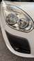Fiat Doblo Doblo II 2010 1.6 mjt 16v Active Blanc - thumbnail 10