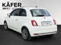 Fiat 500 1.0 Mild Hybrid Star FireFly 51,5KW / 70PS 6-Ga... Weiß - thumbnail 8