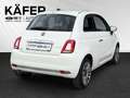 Fiat 500 1.0 Mild Hybrid Star FireFly 51,5KW / 70PS 6-Ga... Weiß - thumbnail 6