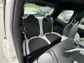 Fiat 500 1.0 Mild Hybrid Star FireFly 51,5KW / 70PS 6-Ga... Weiß - thumbnail 13