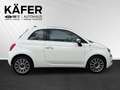 Fiat 500 1.0 Mild Hybrid Star FireFly 51,5KW / 70PS 6-Ga... Weiß - thumbnail 5