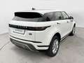 Land Rover Range Rover Evoque Range Rover Evoque 2.0D I4 163 CV AWD Auto Bianco - thumbnail 3