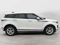 Land Rover Range Rover Evoque Range Rover Evoque 2.0D I4 163 CV AWD Auto Bianco - thumbnail 7