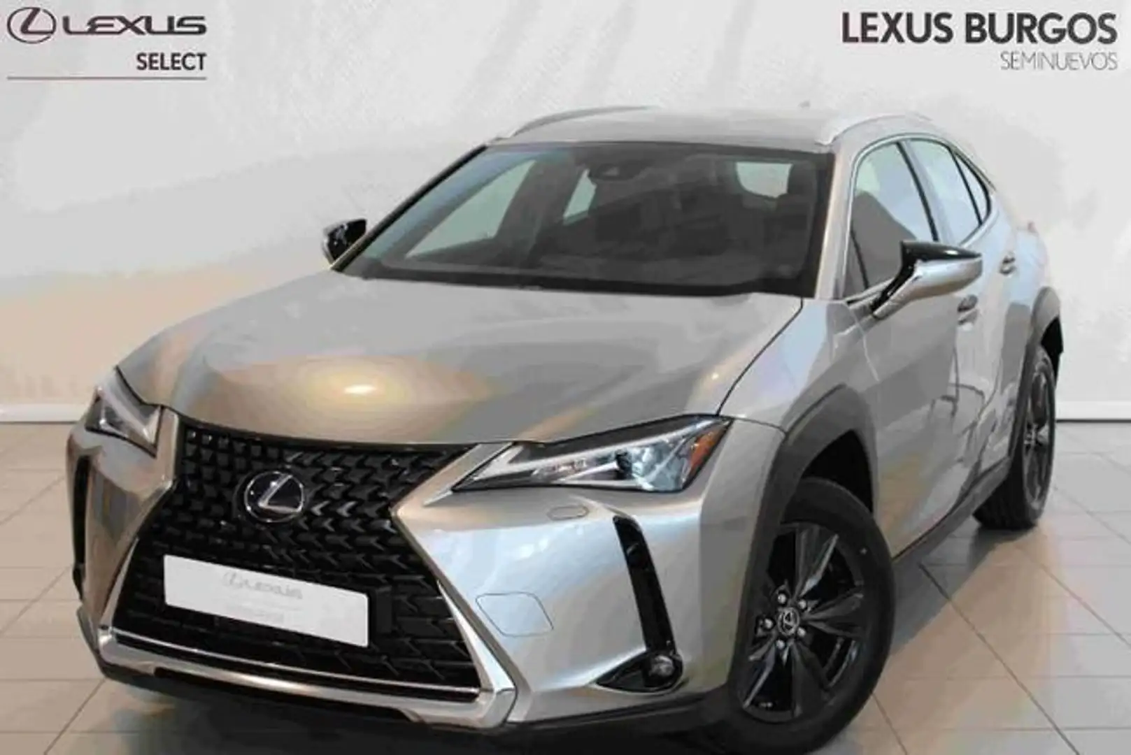 Lexus UX 200 2WD BUSINESS Gris - 1