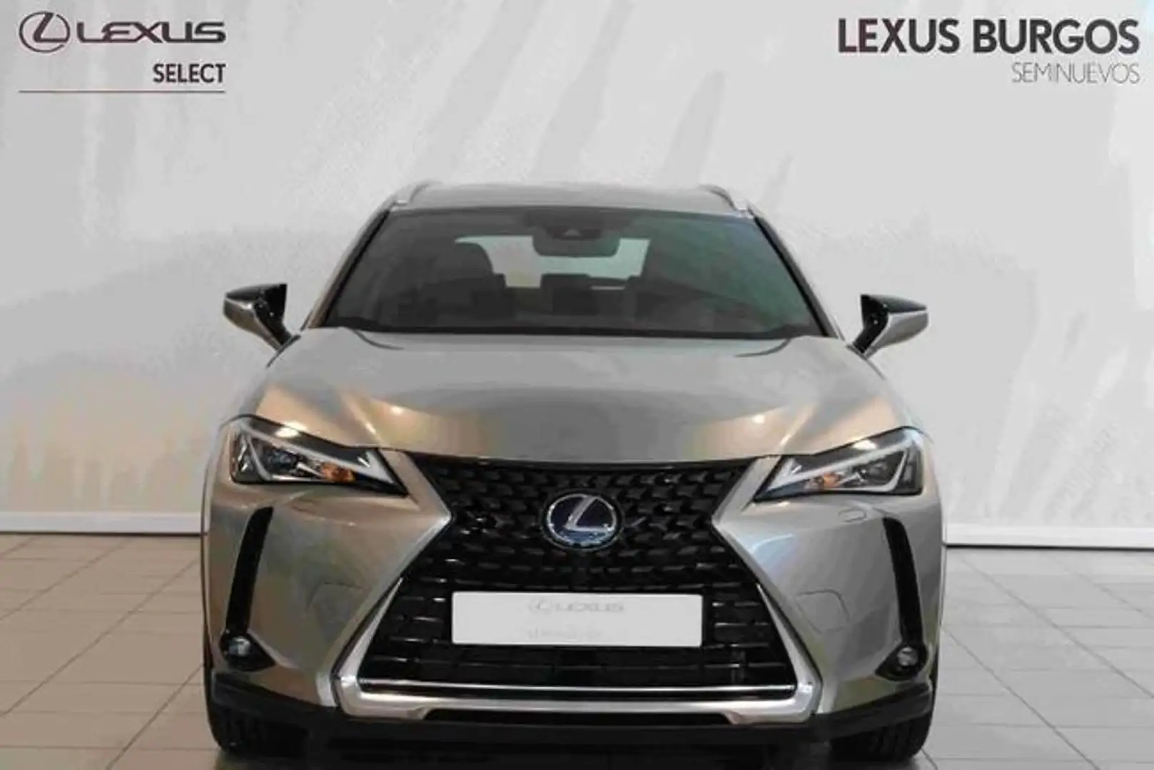 Lexus UX 200 2WD BUSINESS Gris - 2