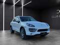 Porsche Cayenne Cayenne II  3.0 V6 tdi 245cv tiptr Tetto/C.21/Pasm Bianco - thumbnail 1