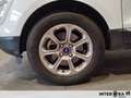 Ford EcoSport 1.0 ecoboost Titanium s&s 125cv auto my19 Weiß - thumbnail 11