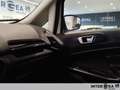 Ford EcoSport 1.0 ecoboost Titanium s&s 125cv auto my19 Weiß - thumbnail 18