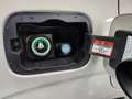Fiat Panda Panda 0.9 t.air t. natural power Pop 80cv E6+UNICO Beige - thumbnail 13