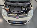 Fiat Panda Panda 0.9 t.air t. natural power Pop 80cv E6+UNICO Beige - thumbnail 15