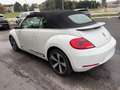Volkswagen Maggiolino Maggiolino Cabrio 1.4 TSI Sport Blanc - thumbnail 15