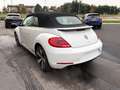Volkswagen Maggiolino Maggiolino Cabrio 1.4 TSI Sport Blanc - thumbnail 14
