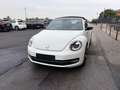 Volkswagen Maggiolino Maggiolino Cabrio 1.4 TSI Sport Blanc - thumbnail 8