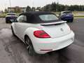 Volkswagen Maggiolino Maggiolino Cabrio 1.4 TSI Sport Blanc - thumbnail 11