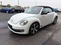 Volkswagen Maggiolino Maggiolino Cabrio 1.4 TSI Sport Blanc - thumbnail 4