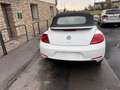 Volkswagen Maggiolino Maggiolino Cabrio 1.4 TSI Sport Blanc - thumbnail 16