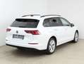 Volkswagen Golf Variant Life mHeV DSG Weiß - thumbnail 13