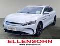 BYD Han Executive 4WD Weiß - thumbnail 1