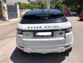 Land Rover Range Rover Evoque 3p 2.2 sd4 Prestige 190cv MANUALE Bianco - thumbnail 7