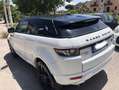 Land Rover Range Rover Evoque 3p 2.2 sd4 Prestige 190cv MANUALE Bianco - thumbnail 6
