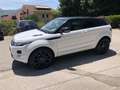 Land Rover Range Rover Evoque 3p 2.2 sd4 Prestige 190cv MANUALE Bianco - thumbnail 1