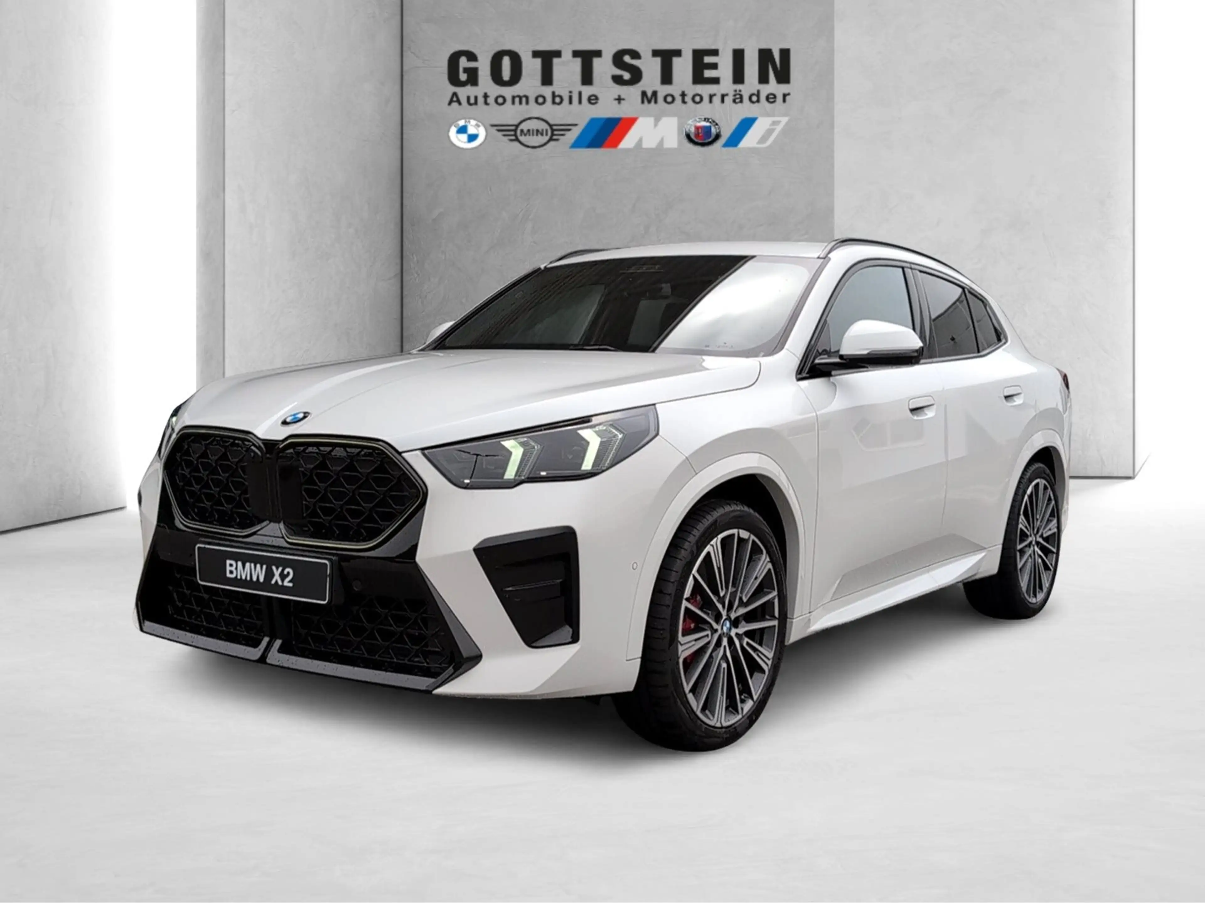 BMW X2 xDrive20d M Sportpaket Head-Up HK HiFi DAB