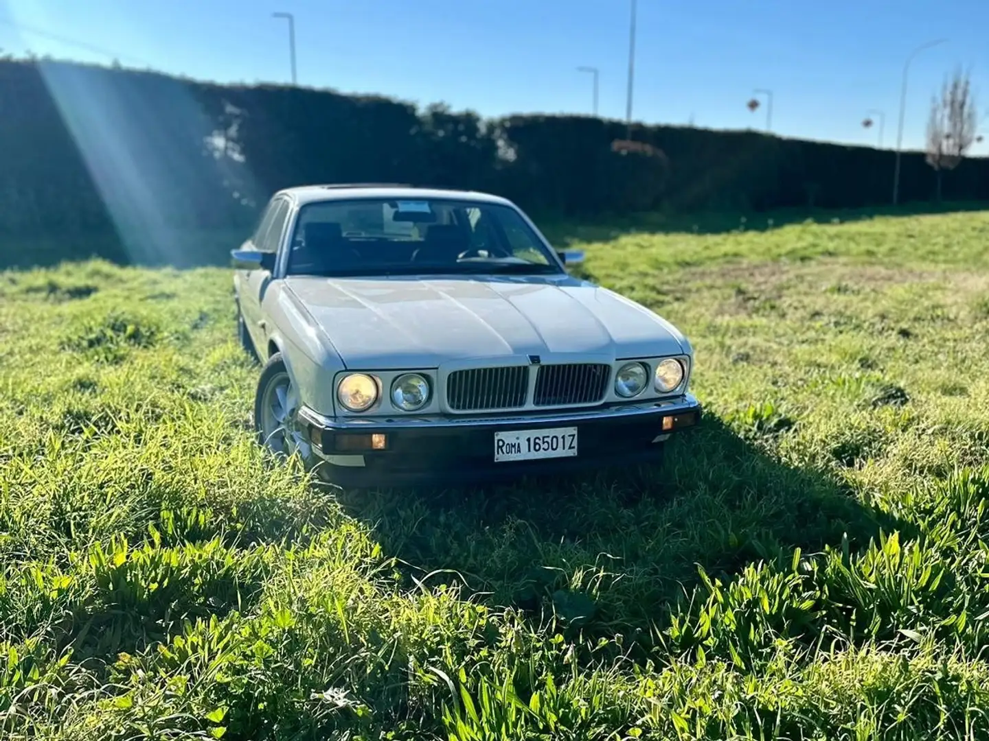 Jaguar XJ6 4.0 Sovereign Blanc - 1