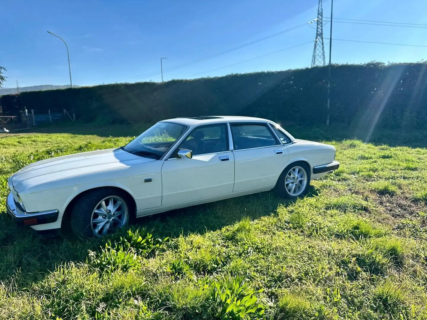 Jaguar XJ6 4.0 Sovereign Beyaz - 2