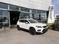 SEAT Ateca 1.5 EcoTSI Business Bianco - thumbnail 1