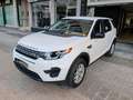 Land Rover Discovery Sport 2.0TD4 eCapability HSE 4x4 150 Blanc - thumbnail 3