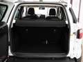 Ford EcoSport 1.0 ECOBOOST 125 CV START&STOP ACTIVE Bianco - thumbnail 12
