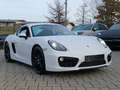 Porsche Cayman S PDK Bi-Xen SportsitzePlus 20' 1.Hand Blanc - thumbnail 33