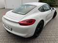 Porsche Cayman S PDK Bi-Xen SportsitzePlus 20' 1.Hand Blanc - thumbnail 4