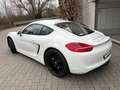 Porsche Cayman S PDK Bi-Xen SportsitzePlus 20' 1.Hand Blanc - thumbnail 5