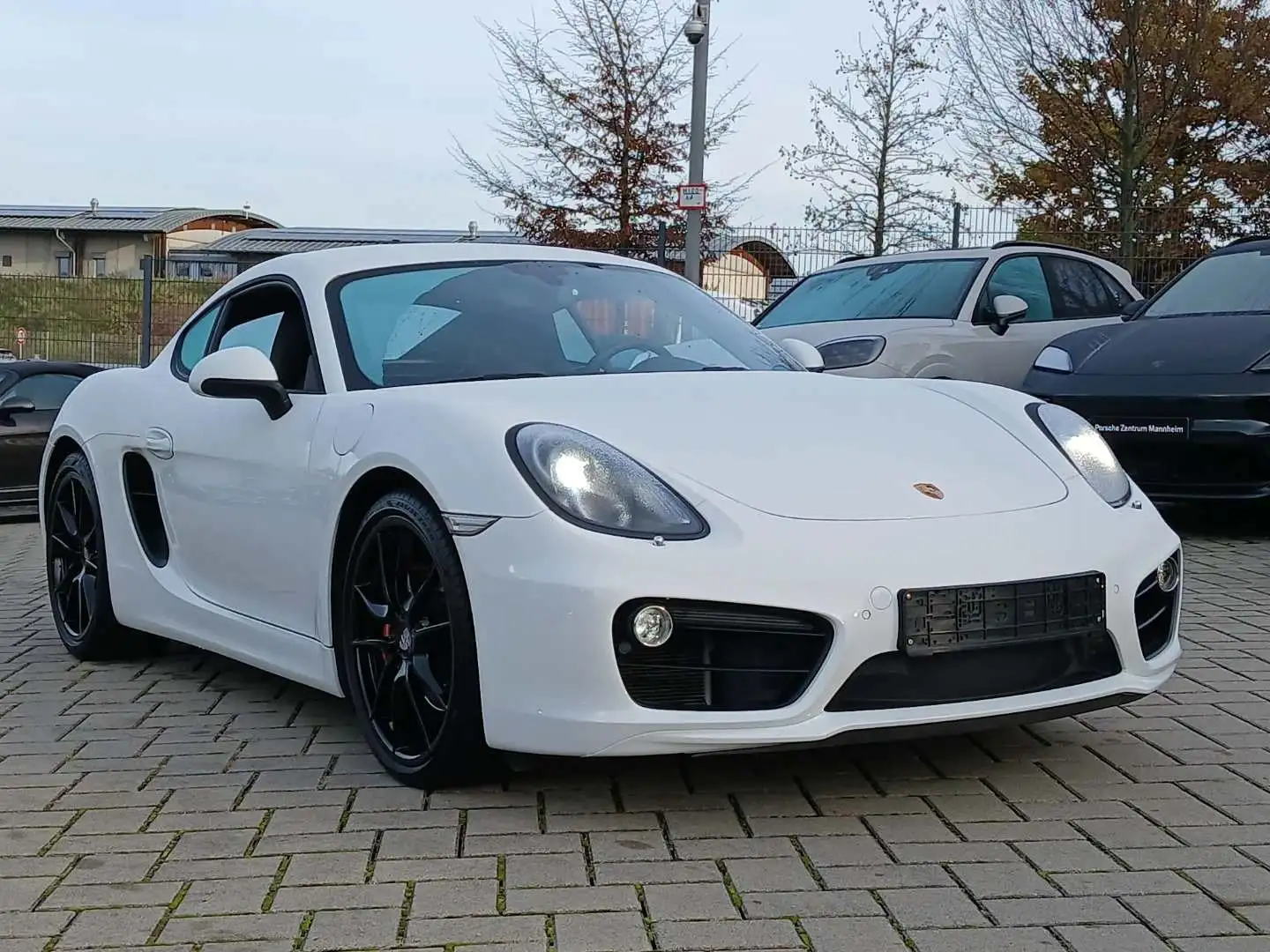 Porsche Cayman S PDK Bi-Xen SportsitzePlus 20' 1.Hand Weiß - 2