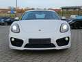 Porsche Cayman S PDK Bi-Xen SportsitzePlus 20' 1.Hand Blanc - thumbnail 25