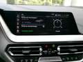 BMW 118 118iAdvantage LCP LED adap. DAB FLA DAT LDS EU6d Grau - thumbnail 26
