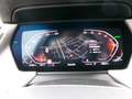 BMW 118 118iAdvantage LCP LED adap. DAB FLA DAT LDS EU6d Grau - thumbnail 19